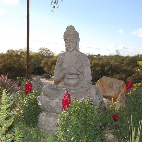 Meet your Posher, Sanya - Picture 3 of 4